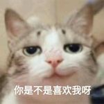 我*********