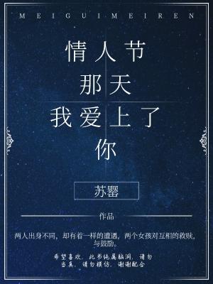 情人節那天我愛上了你作品封面