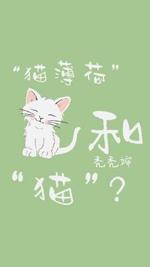猫薄荷和猫 秃秃婶著 长佩文学网