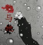 她与她