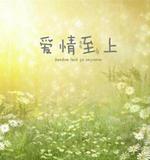 爱情至上