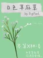 白色荨麻草
