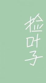 捡叶子