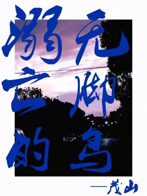 溺亡的无脚鸟作品封面