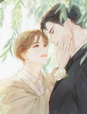 cp461311原创短佩随笔连载收藏:7评论:1海星:1点击:387字数:3,008人气