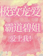 极致宠爱∶霸道碧姐爱上我