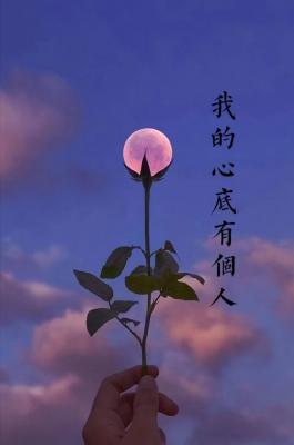 我的心底有个人