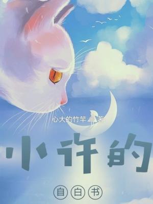 小许的自白书作品封面