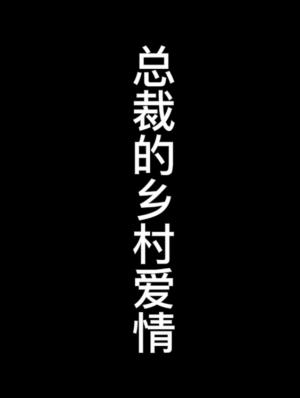 霸道總裁的鄉村愛情故事