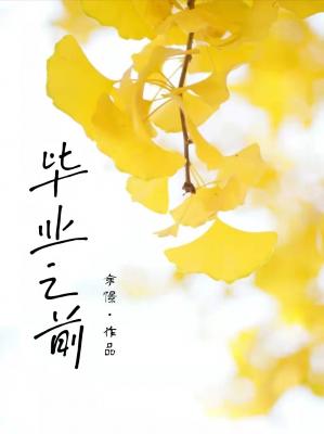 毕业之前作品封面