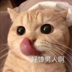 后宫三千管不住