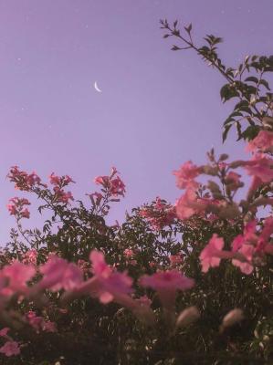 遗_我不想睡觉著_长佩文学网