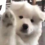 有名 木更木更著 长佩文学网