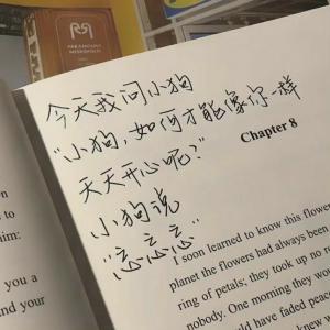 我是一个傻瓜