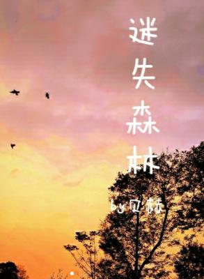 迷失森林作品封面