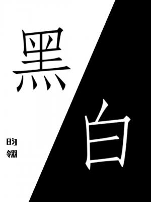 黑白作品封面