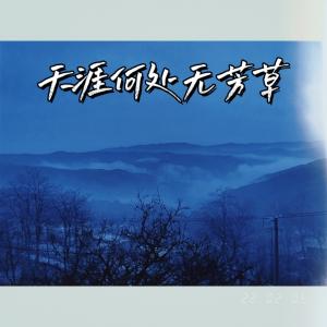 天涯何处无芳草