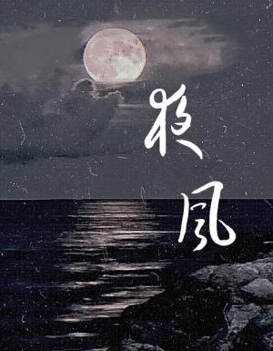 夜风_景夜欲凛著_长佩文学网