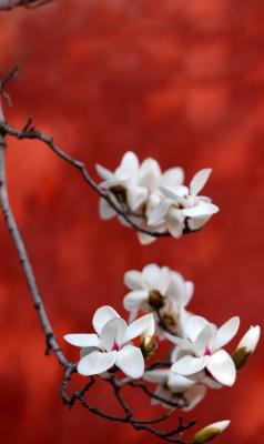 何其可笑_独倚西风著_长佩文学网