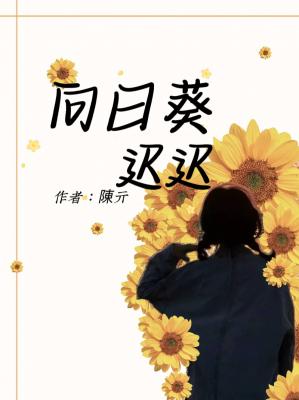 向日葵迟迟作品封面