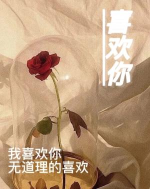 喜欢你作品封面