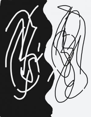 谁说一定就是非黑即白作品封面