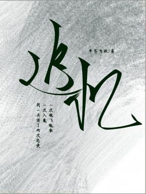 追忆作品封面