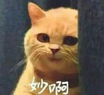 长烟烬