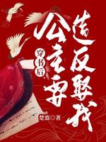 穿书后公主要造反娶我