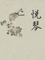 悦琴