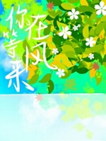 你在等风来