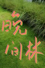晚间林