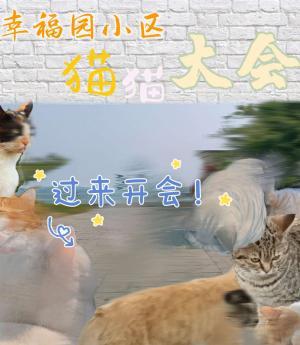 幸福园小区猫猫大会作品封面