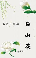 白山茶