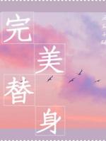 完美替身