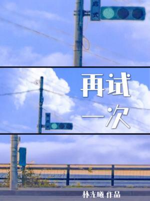 再试一次作品封面