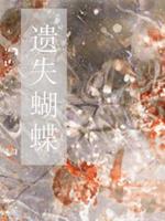 遗失蝴蝶