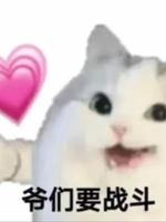 关于我穿书把女主拿下了.