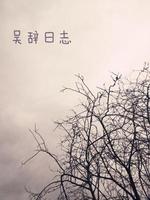 吴辞日志