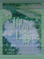 柳上见卿