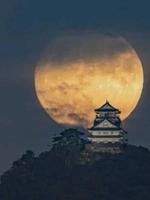 月亮