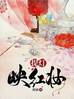 提灯映红妆作品封面