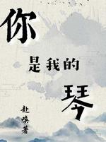 你是我的琴