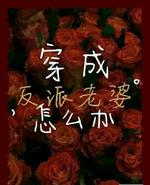 穿成反派老婆怎么办