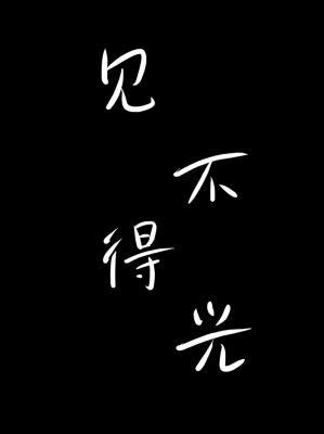 见不得光作品封面