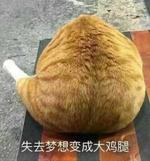 @兰淮子 的失恋日记