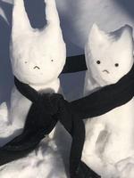 猫猫，我告诉你我喜欢她