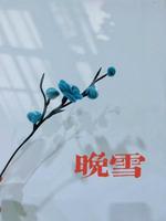 晚雪