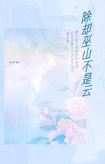 除却巫山不是云