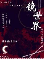 镜世界